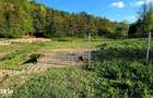 Teren pentru construc?ie in Geoparcul ?inutul Buzaului Bozioru - 1