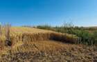 15000mp Horlesti Breazu , zona case noi - 1