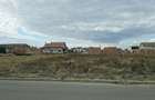 Teren intravilan, 877 mp Sanmartin (zona Beverly Hills) - toate utilitatile pe proprietate - 5