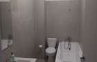 Apartament 2 camere de inchiriat( Uverturii, Rosu ,Chiajna ) - 7