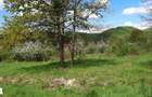 Vanzare teren intravilan tautii magheraus - 2