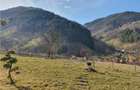 Vindem urgent 1035mp teren intravilan in Rau Sadului ,  SIBIU - 20