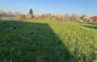 Teren Intravilan 1019 mp Urseni Front 20m Ideal Casa Duplex - 2