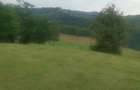 Teren de vanzare in Mogo?, jud Alba - 5