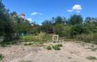 Casa renovata cu teren si anexe in Birtin