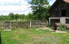 (101) Teren cu casa, pentru afaceri / Direct proprietar - 10
