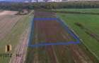 Vand teren intravilan in Sanmartin -Padure Baile Felix-Inelul Metropolitan- 4208 mp - 58 euro/mp - 4