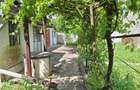 Casa in Afumati (cazare muncitori) - TVA deductibil - 7