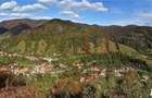 vind gradina in comuna Rusca Montana, jud.Caras Severin. - 1