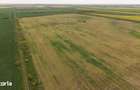 Teren investi?ional strategic 44.700 mp Arad Vest - 5