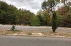 Teren Dem Radulescu / 1731mp - 2