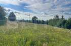 De vanzare teren Rasca - cu o panorama superba! - 8