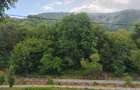 Casa de caramida la rosu, 3765mp teren intravilan, Valea Ariesului, AB - 3