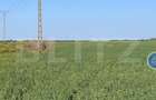 Teren arabil, 25 ha, Giulvaz-Foeni, front stradal 280 ml - 1
