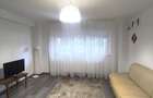 Vitan-Zizin-Banu Udrea-Apartament 2 camere-60 mp-530 EUR - 3