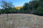 VAND TEREN 8967/MP, Barsana, Maramures - 3