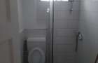Proprietar inchiriez 2 camere ultra central - 7