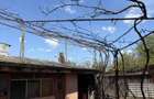 TEREN 300 MP + CASA, Voluntari, Jud. Ilfov 130.000 - 5