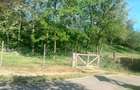 Teren intravilan CF pentru casa de vacanta Zauan Salaj - 3