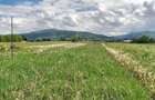 Teren intravilan - 1500 mp - Stupinii Prejmerului Brasov - 2