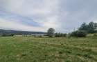 Teren 6.400 mp de vanzare Mioveni, Racovita 2.517 mp intravilan - 4