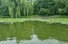 Parcele 500-1200mp cu deschidere la lacul Snagov - 1