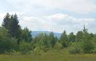Vand teren Rogojel-Vladeasa - 2