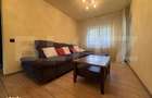 Apartament 4 camere, pet friendly, parcare, zona UMF - 8