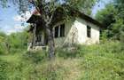 Teren de 2700 mp, în Telega - 2