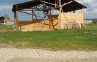 vand inchiriez teren+hala 21500 mp Pojogeni, Gorj - 4