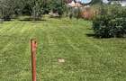 Vand casa in Lunguletu