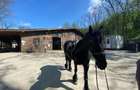 Casă cu Teren 1537099 Mp în Herneacova - 15