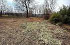 Teren intravilan 3171 mp | Cornu | 29 /mp negociabil