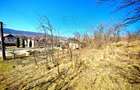 Casa spatiu comercial la strada principala Arges Darmanesti - 1