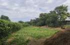 Vand Teren Intravilan 1430 mp Sat Izvoarele, Hotarele Giurgiu - 2