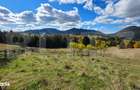 Teren 1,5 hectare - la Piatra Fantanele - 2