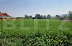 Teren intravilan de vanzare, 3800 mp, zona Vest - 3
