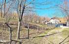 Comision 0%! Teren superb de 17000mp la 5 min de Castelul Bran, 13 eur - 13