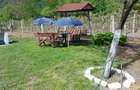 Vand casa ?i gradina - 10