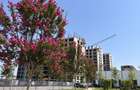 3 camere, 77 mp | Parc privat | Ansamblu cu acces controlat - 10