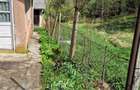 Vand casa cu anexe si teren 7,35 ha - 5