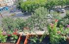 Vand Apartament Ultracentral - 1
