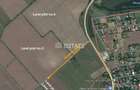 Teren intravilan, 40 ha, pretabil parc fotovoltaic /logistic - Sinesti (Ialomita) - 4