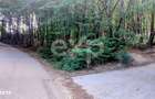 Teren Stefanesti(Valea Mare) Zona In Plina Dezvoltare - 2