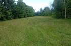 teren 1773 mp | Prahova | Banesti | Urleta | Campina - 2