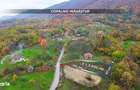 Teren intravilan de vanzare Copalnic Manastur 3.000 mp - 6