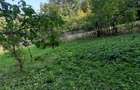 Teren vanzare Prahova - Pietriceaua - 5