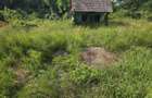 Casa demolabila + teren 1.076mp | Front 50 ml | Paulis Soimus jud HD - 3