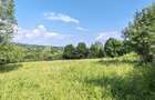 EXCLUSIV! Teren intravilan 5.523 mp Vaideeni Horezu.78 m deschidere. Utilita?i. Pre? atractiv! Opo - 6