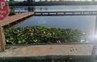 Teren de vanzare pe lac - Snagov
